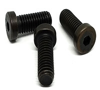 Low Head Socket Cap Screw